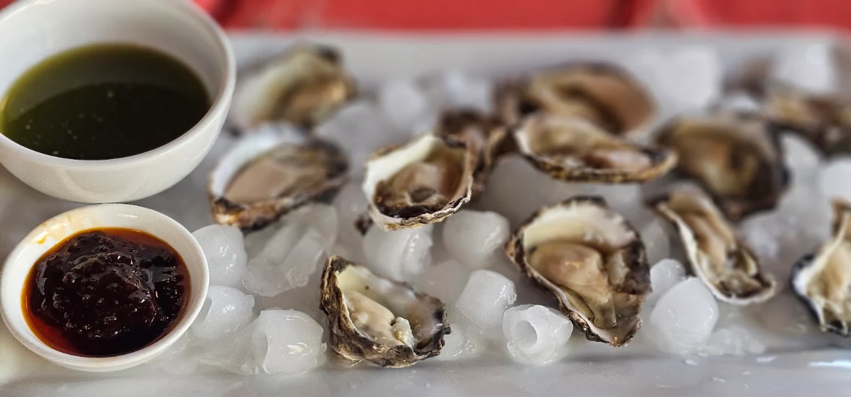 Oysters
