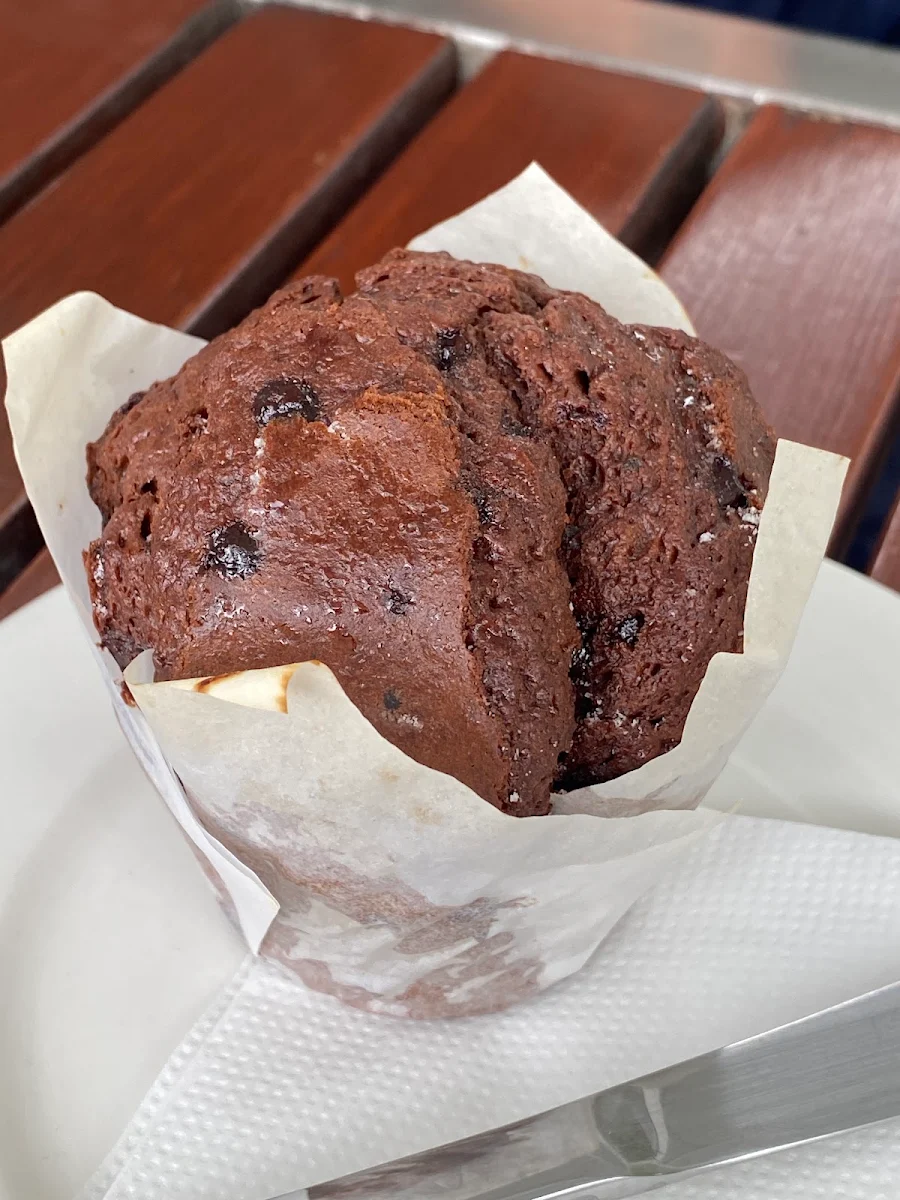 Chocolate Muffin