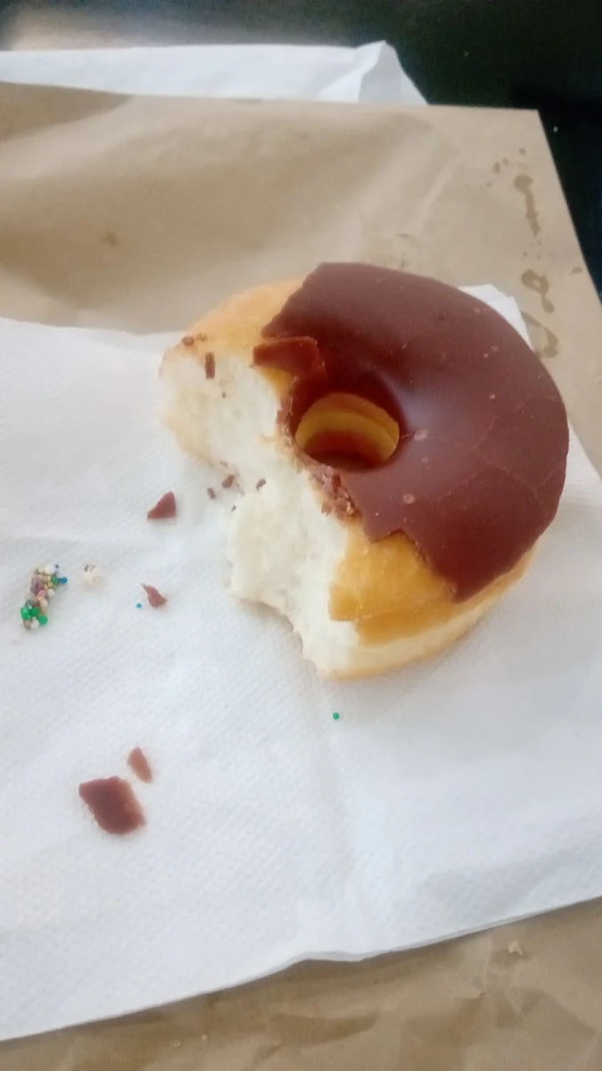 Stale Chocolate Doughnut