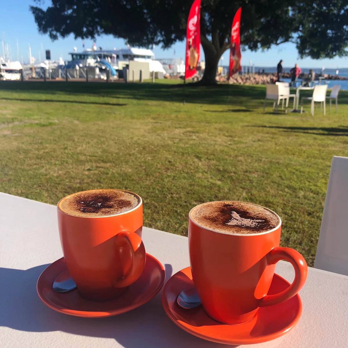 Highlights, Dolphin Watch Cafe