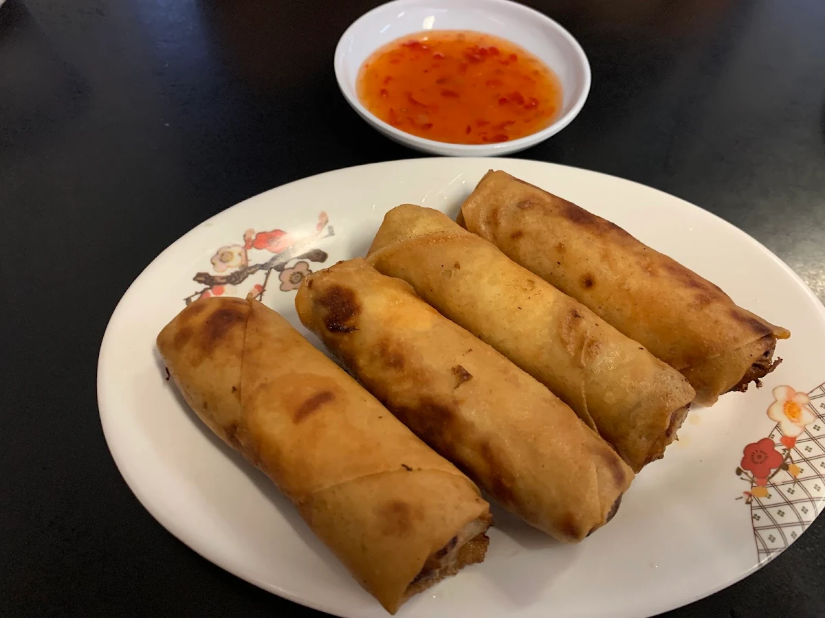 Vietnamese Spring Roll