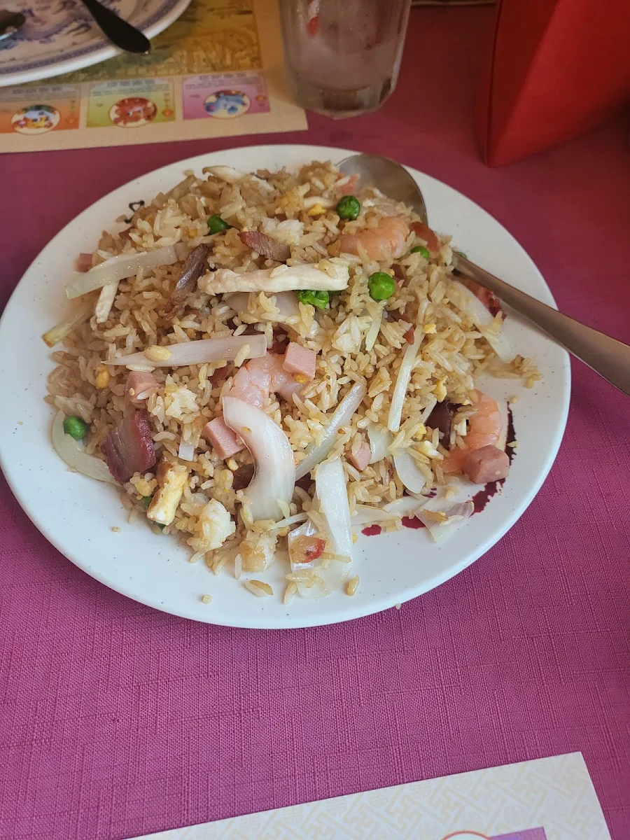 Special Fried Rice L