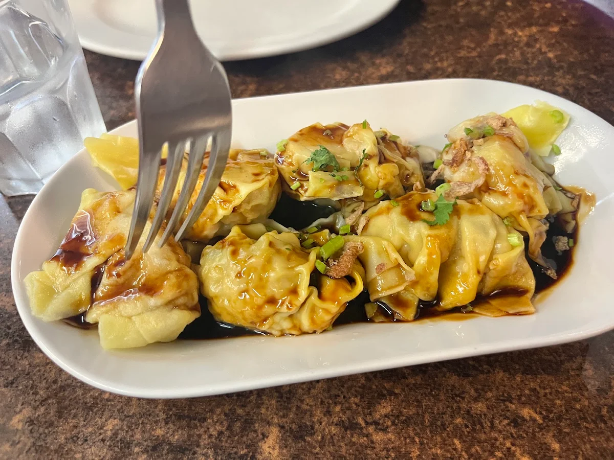 Wontons, A Taste of Spice