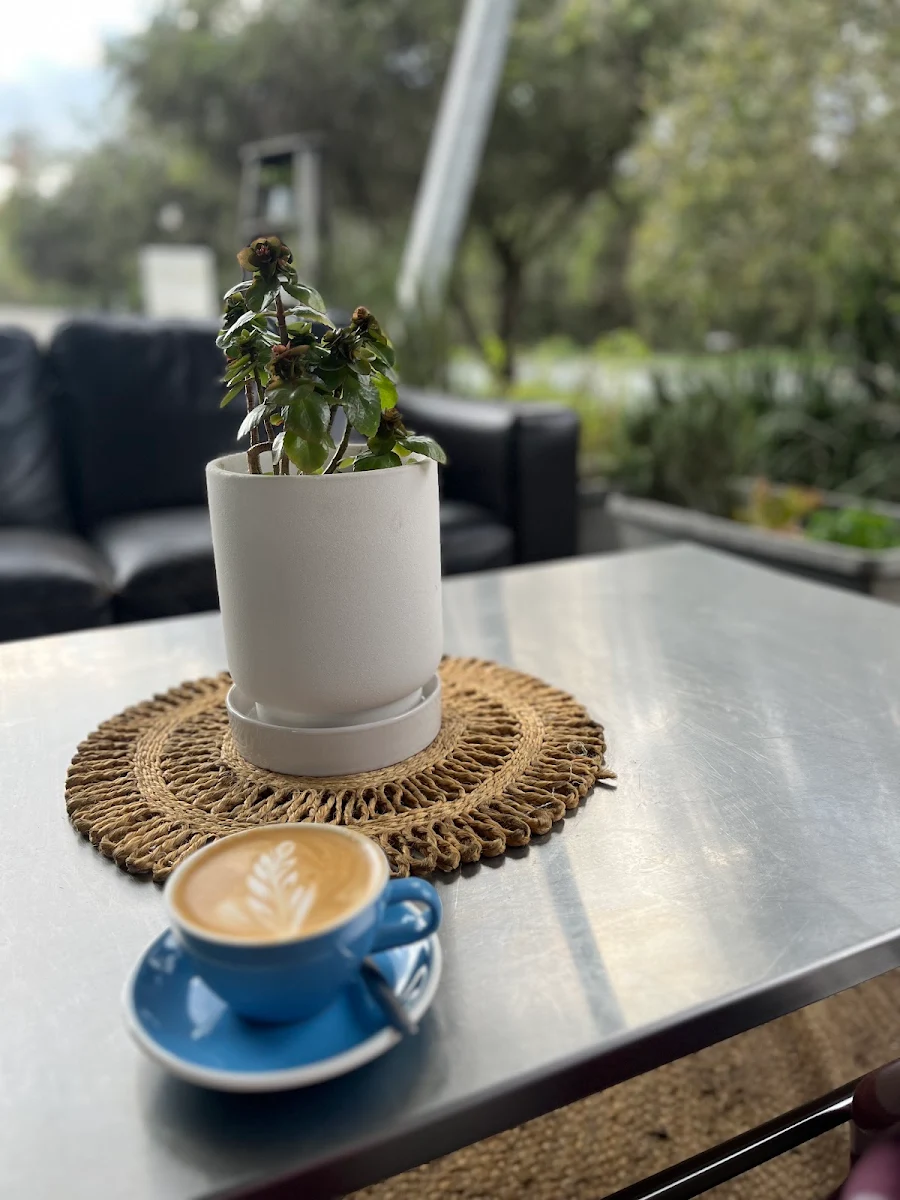 Highlights, The Park Social Redland Bay