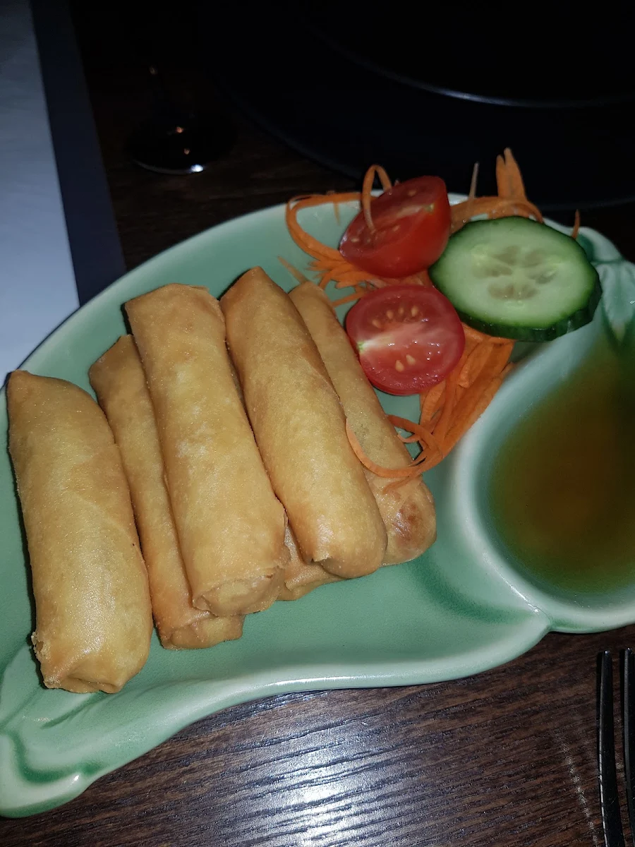 Vegetarian Spring Rolls