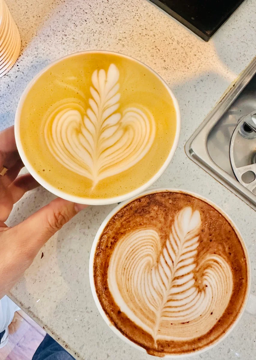 Highlights, Singular Coffee Northbridge