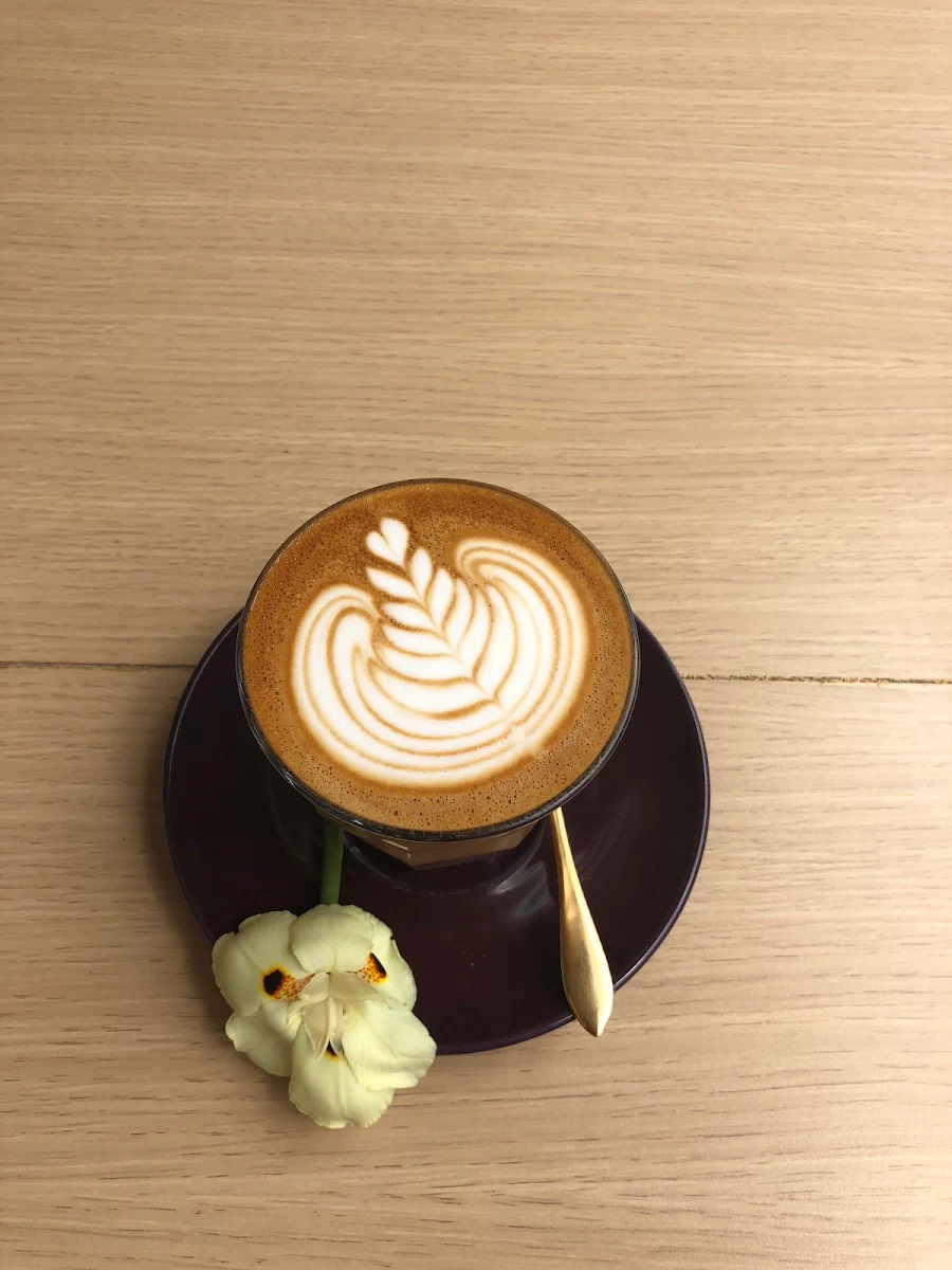 Highlights, Singular Coffee Northbridge