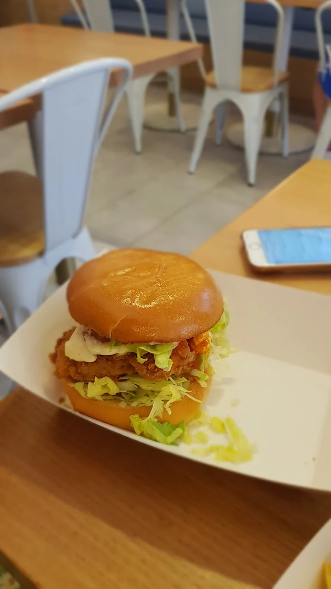 Hot N Spicy Chicken Burger