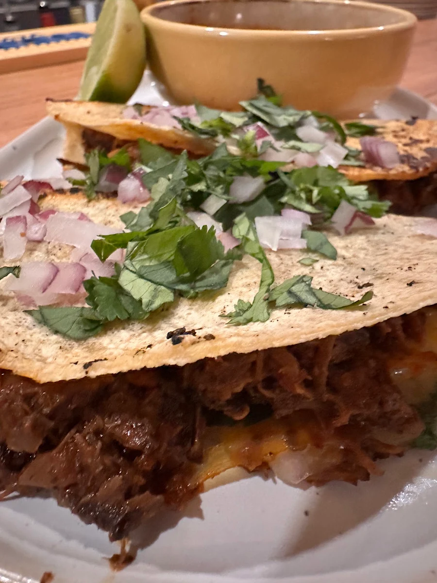 Birria Taco