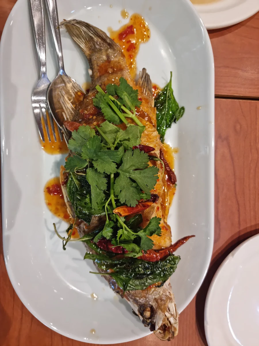 Chilli Fried Fish, I Spicy Hawthorn