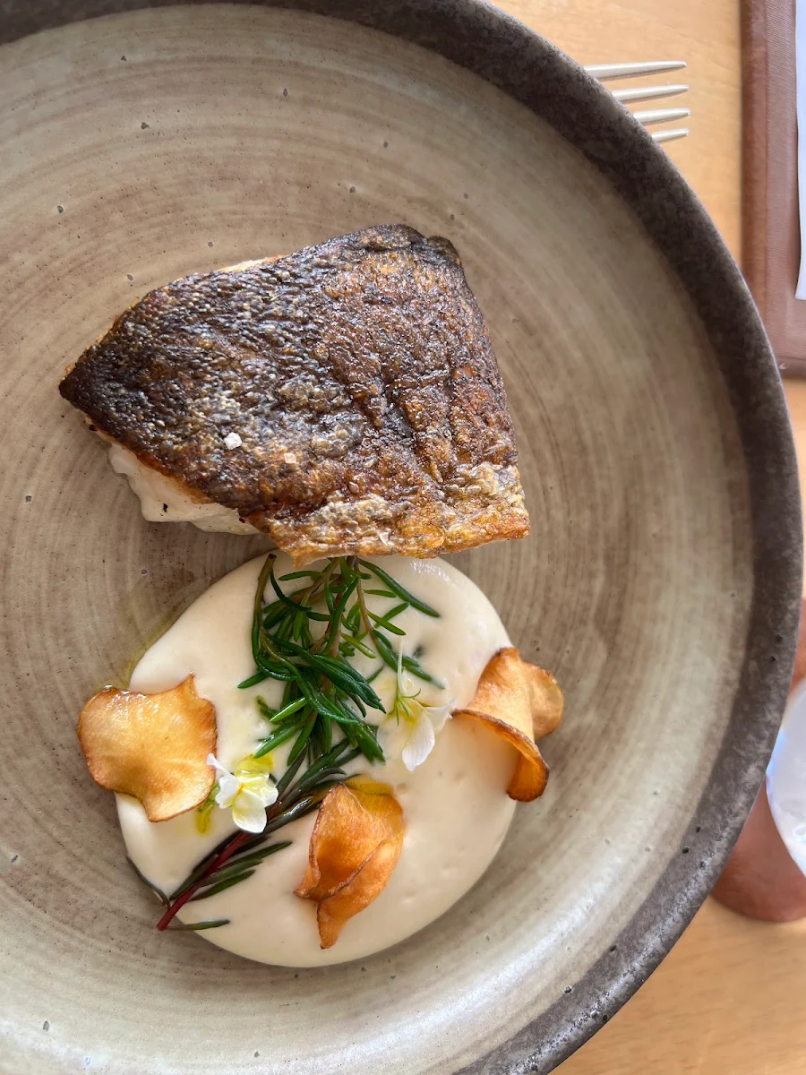 Murray Cod, Cottage Point Inn - Restaurant