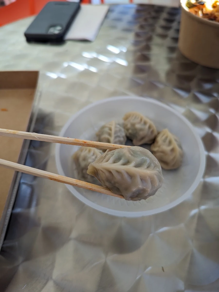 Pork Dumplings