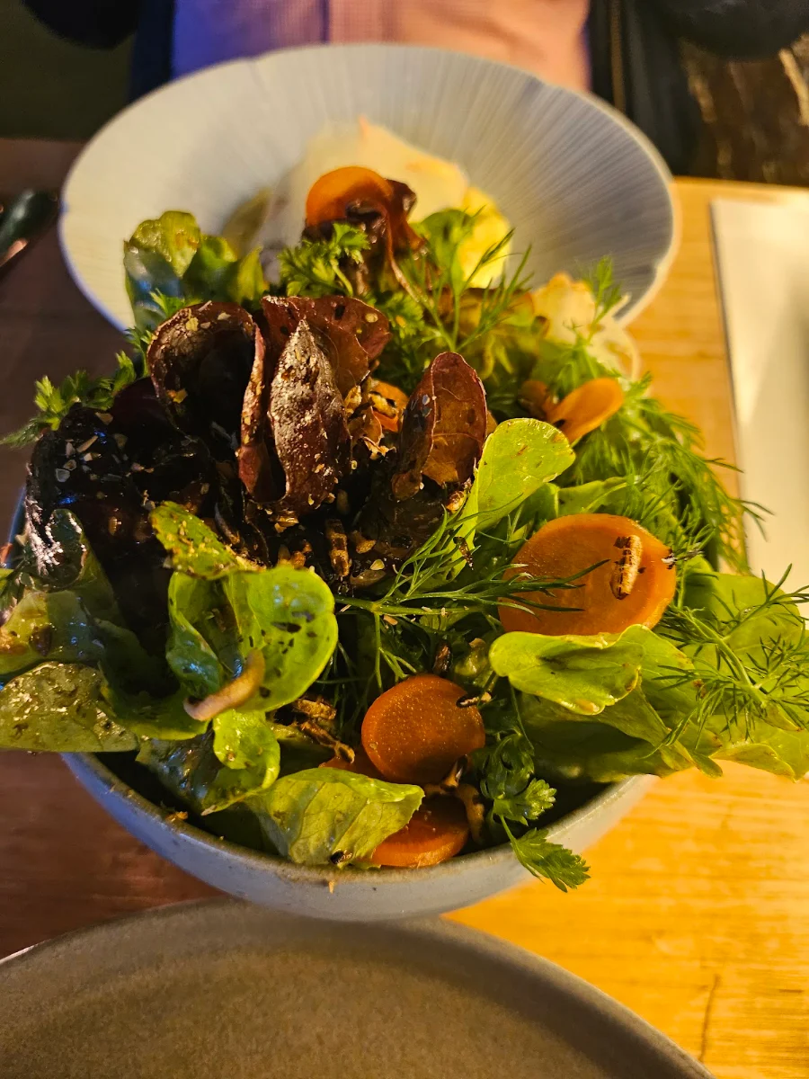 Tulum Green Salad Herbs Roasted Cumin Dressing