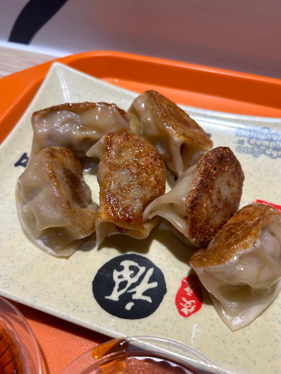 Pan Fried Dumplings