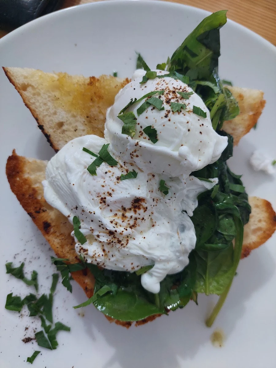 Poached Egg