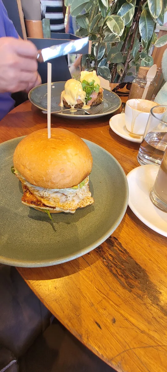 Haloumi Roll, Tucker