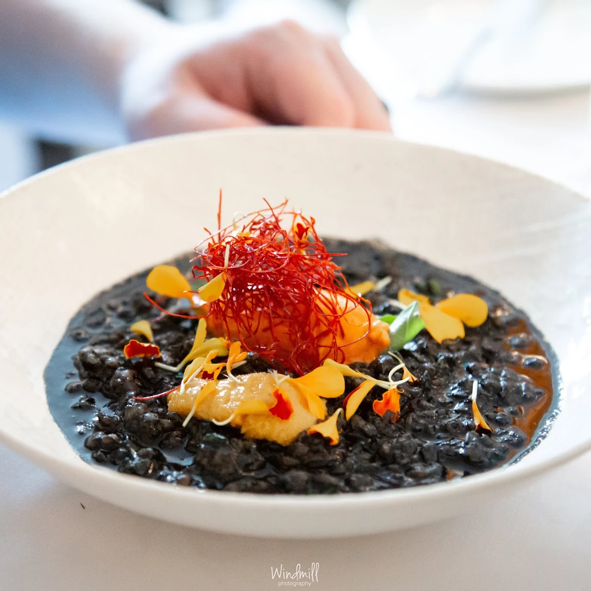 Alliums E Riso Nero, Pilu at Freshwater