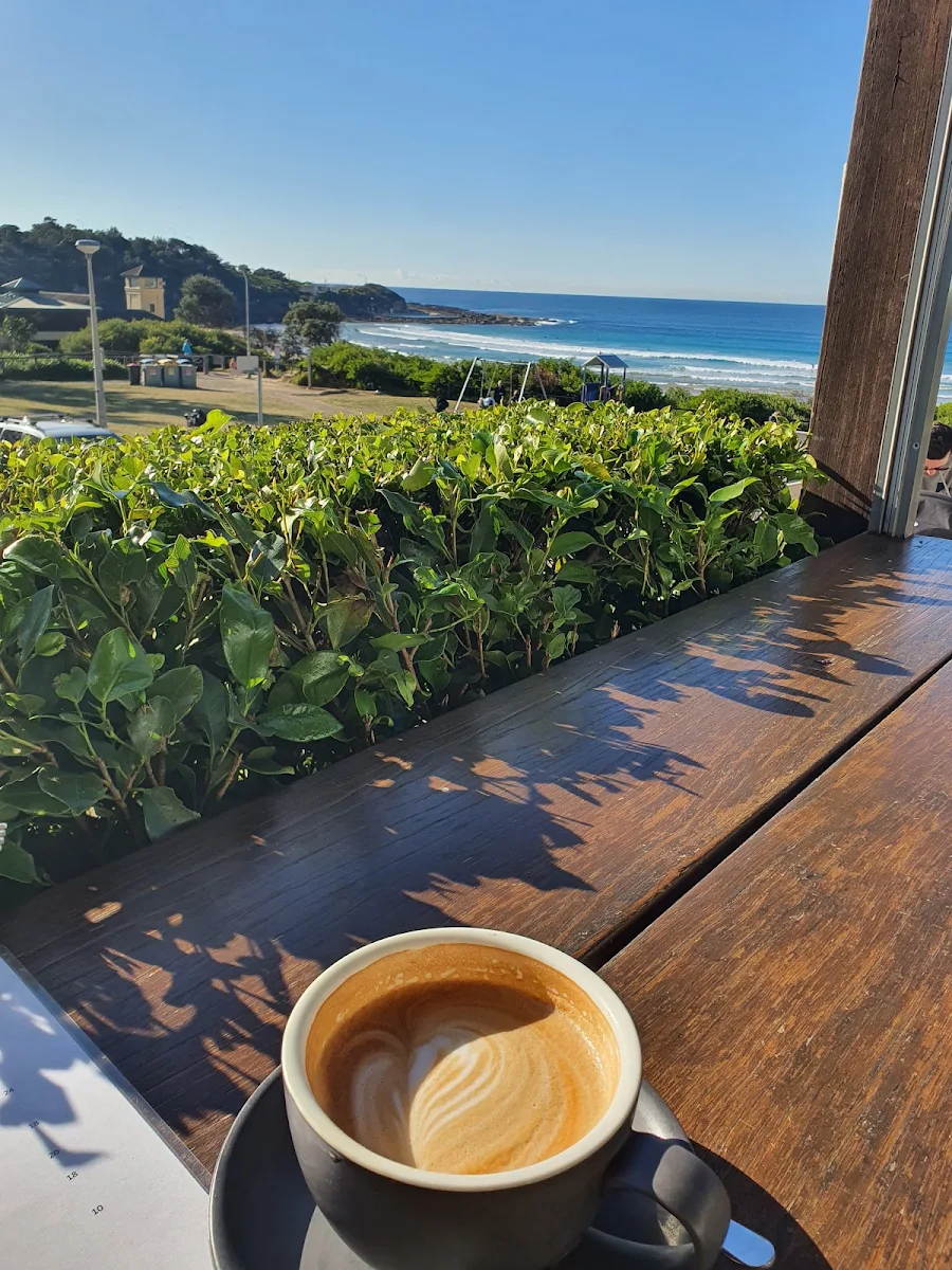 Coffee, Pilu at Freshwater
