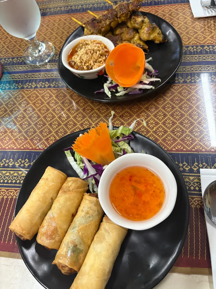 Veg Spring Rolls and Chicken Satay