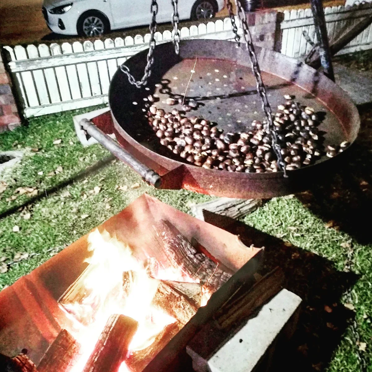 Chestnuts, Nest Cinema Cafe Books
