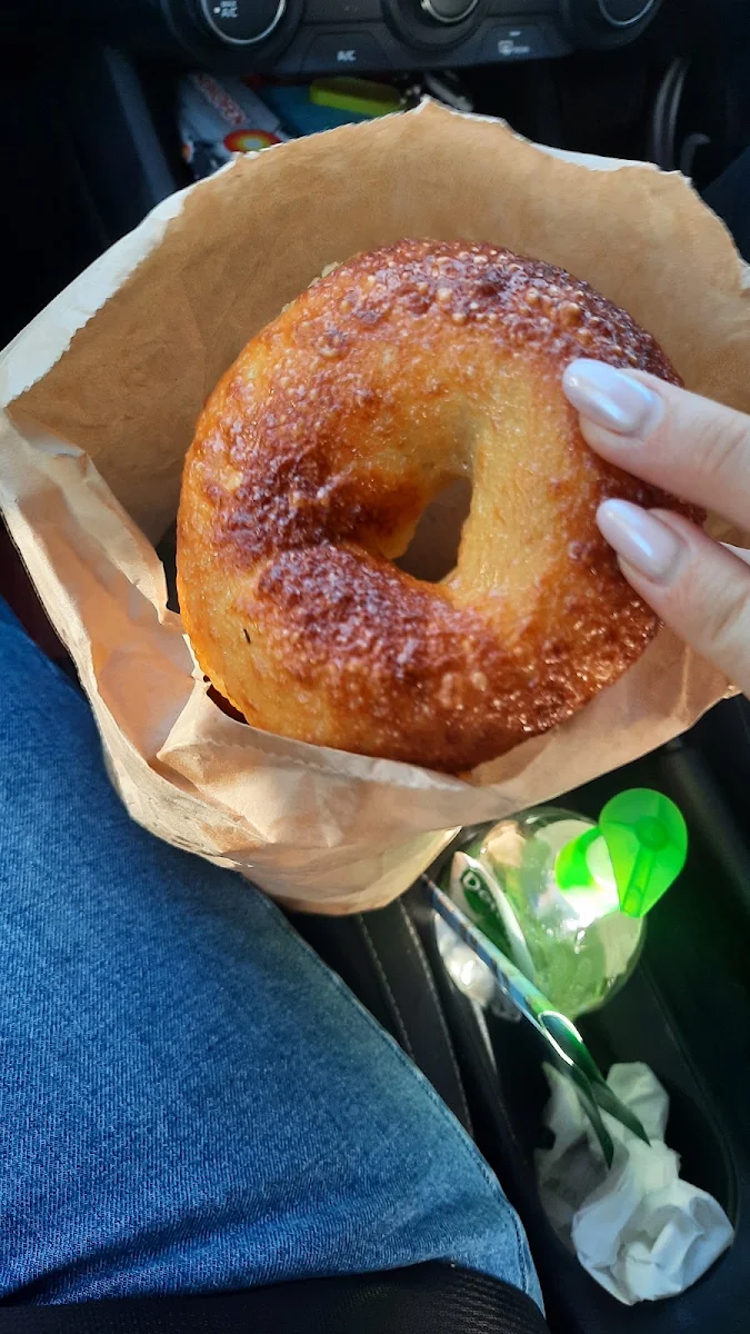 Highlights, Bear Bagels and Baked Goods