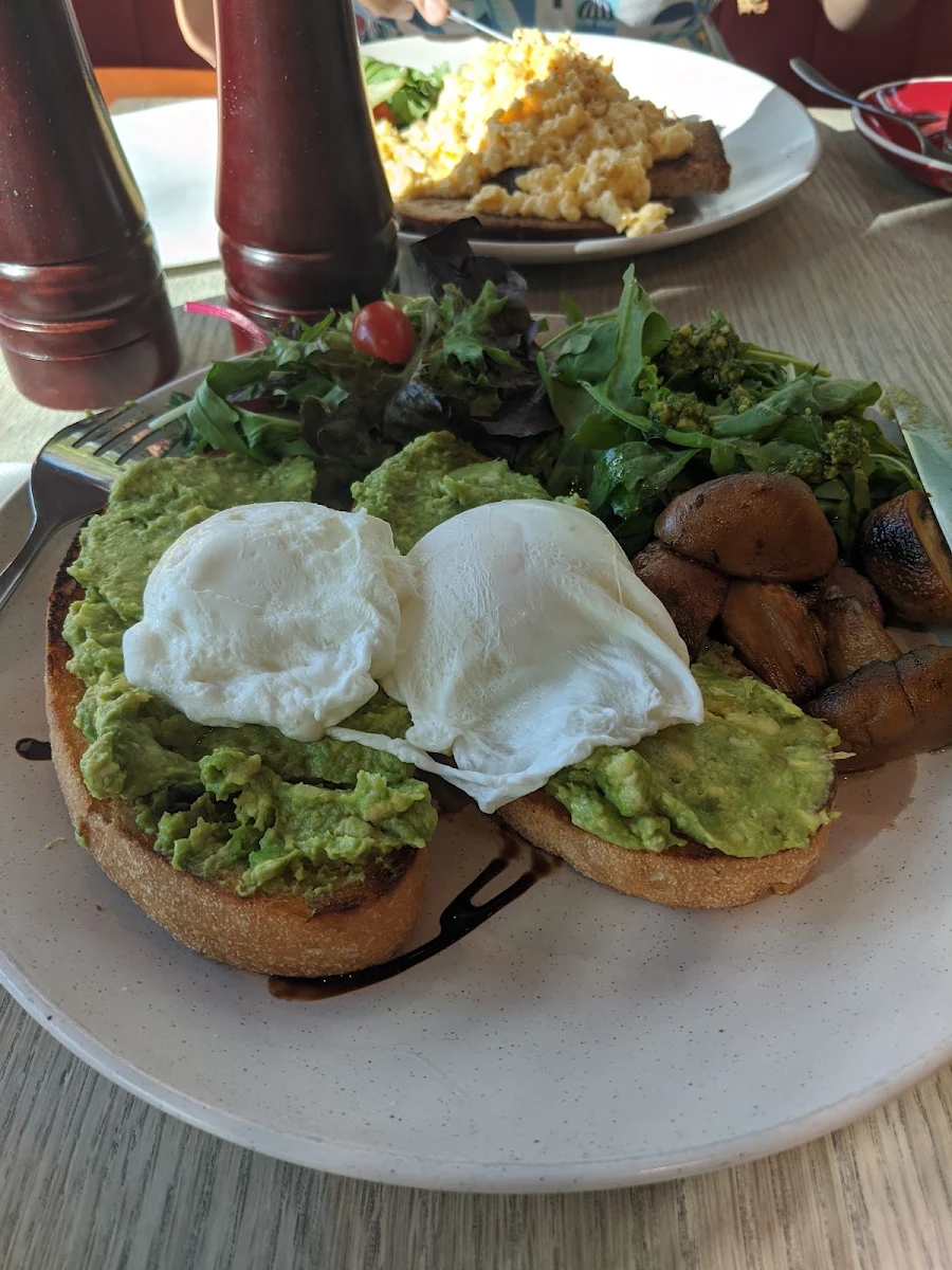 Smashed Avocado, The Daily Dose Cafe