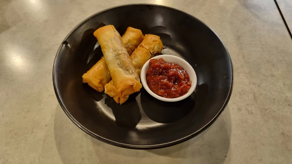 Duck Spring Rolls, Titanium Bar & Bistro
