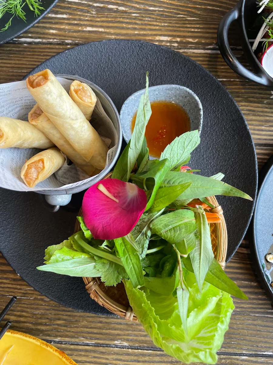 Spring Roll