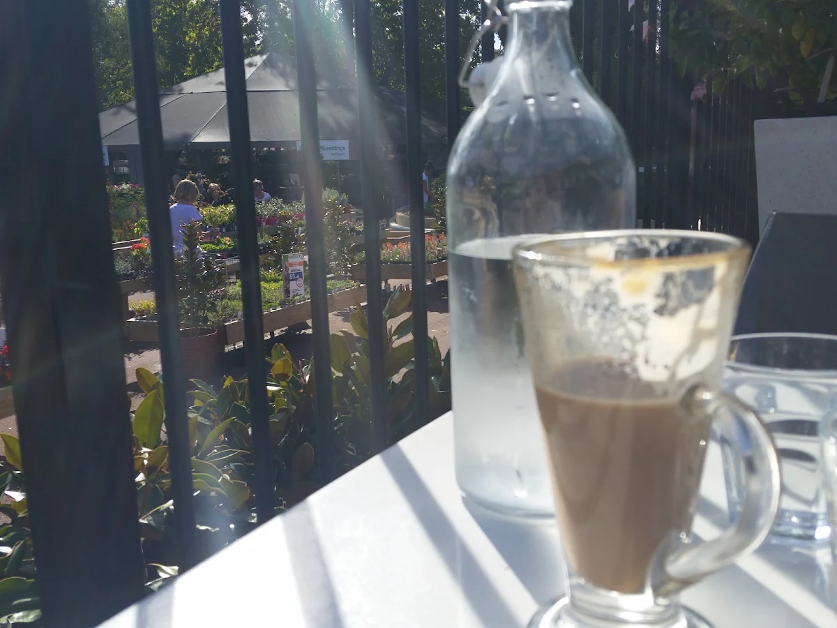 Coffee, Lakeview Cafe