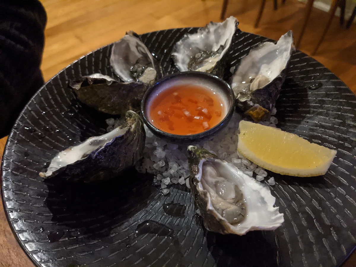 Plain Oysters