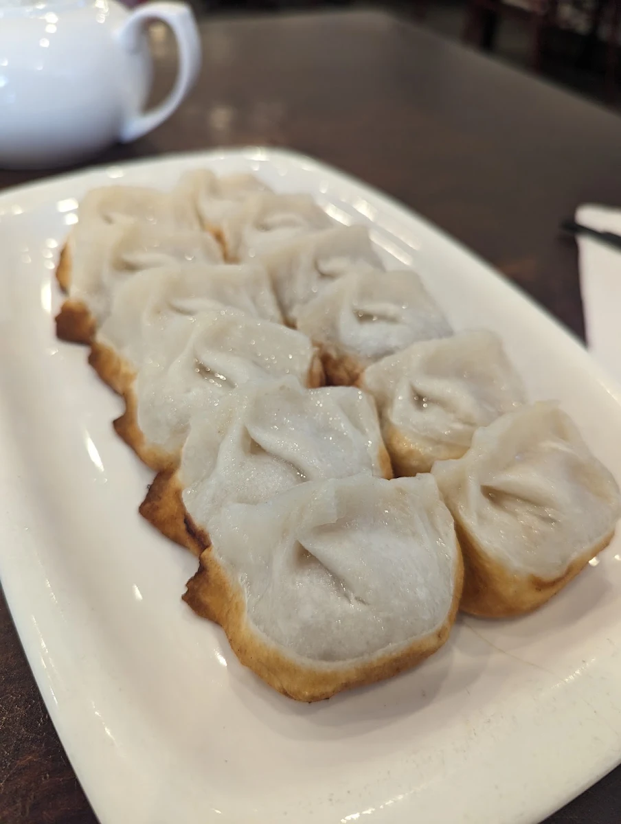 Pan Fried Dumplings