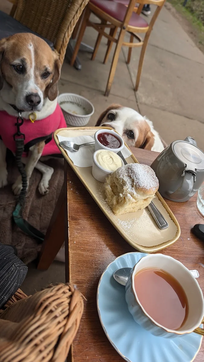 Devonshire Tea, Kallista Tea Rooms
