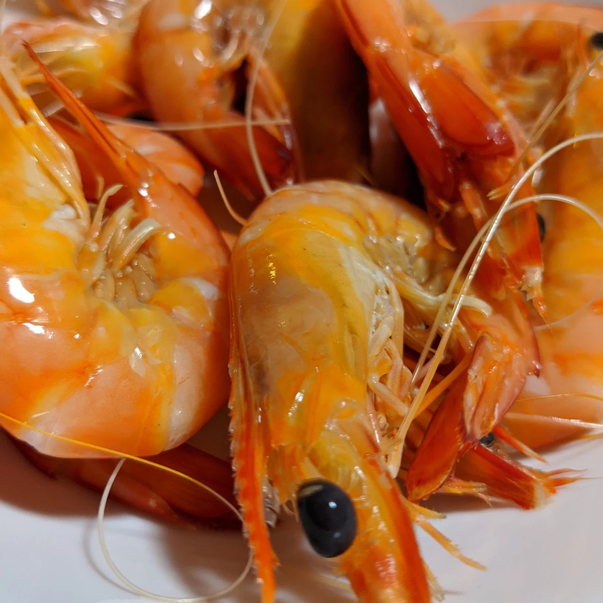 Prawn, Pt Cartwright Seafoods