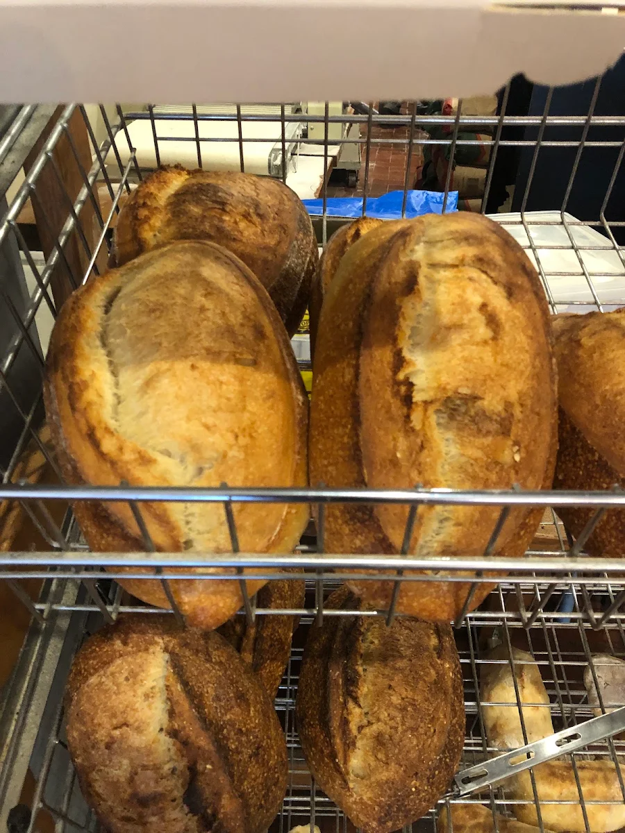 Sourdough Bread