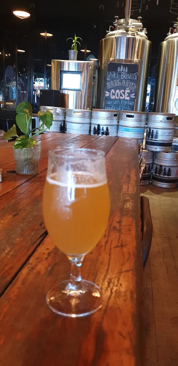 Beer, 4 Pines x Boardriders Coolangatta
