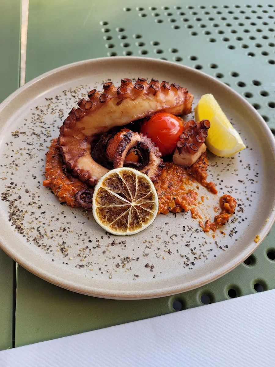 Grilled Octopus