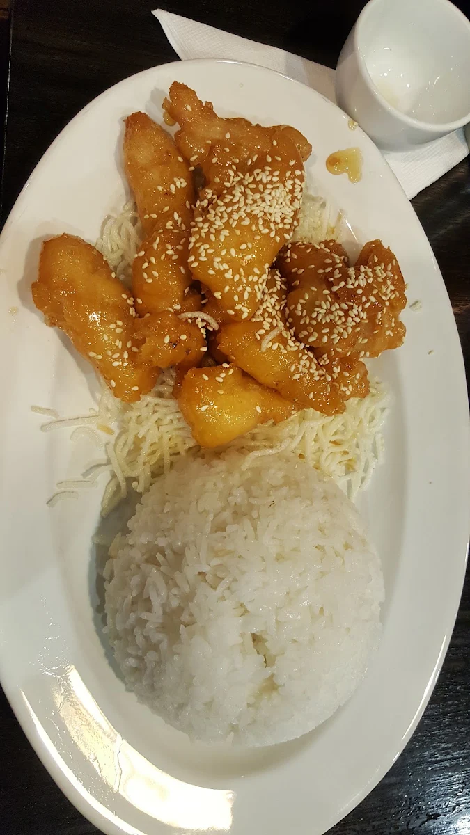 Honey Chicken with Rice