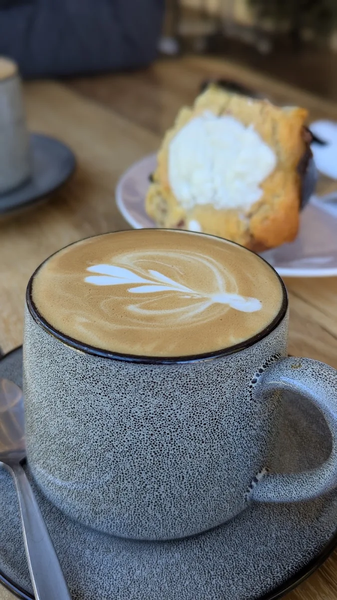 Highlights, Walhalla Witchery Cafe & Magical Wares
