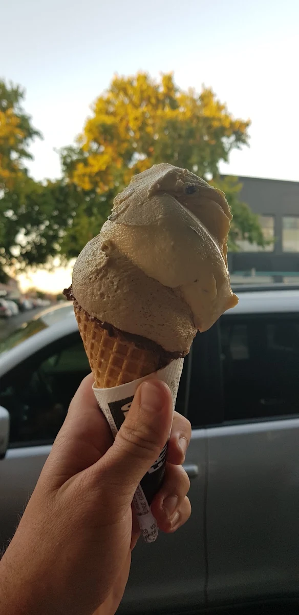 Highlights, Fritz Gelato