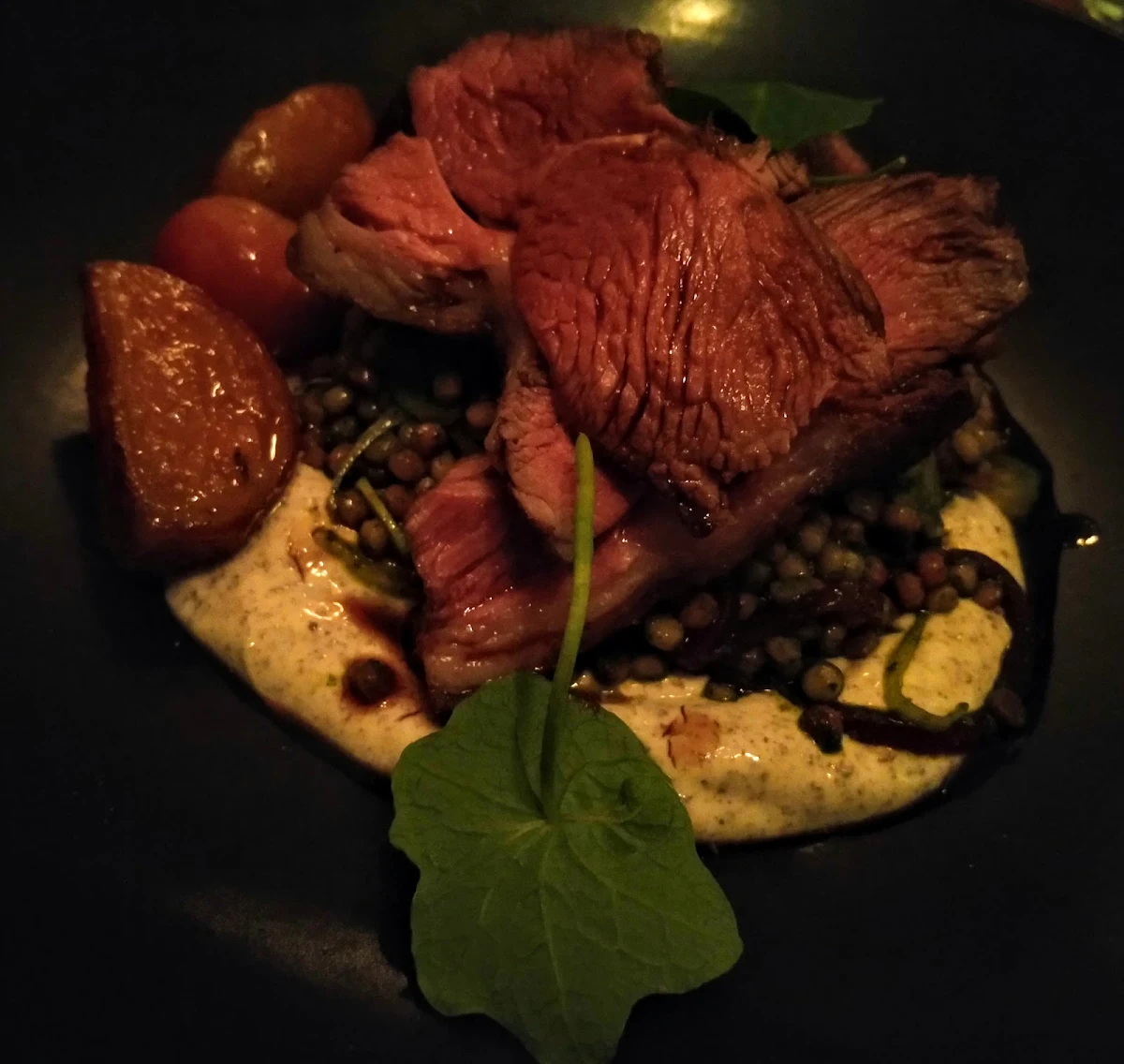 Lamb, Cicciolina