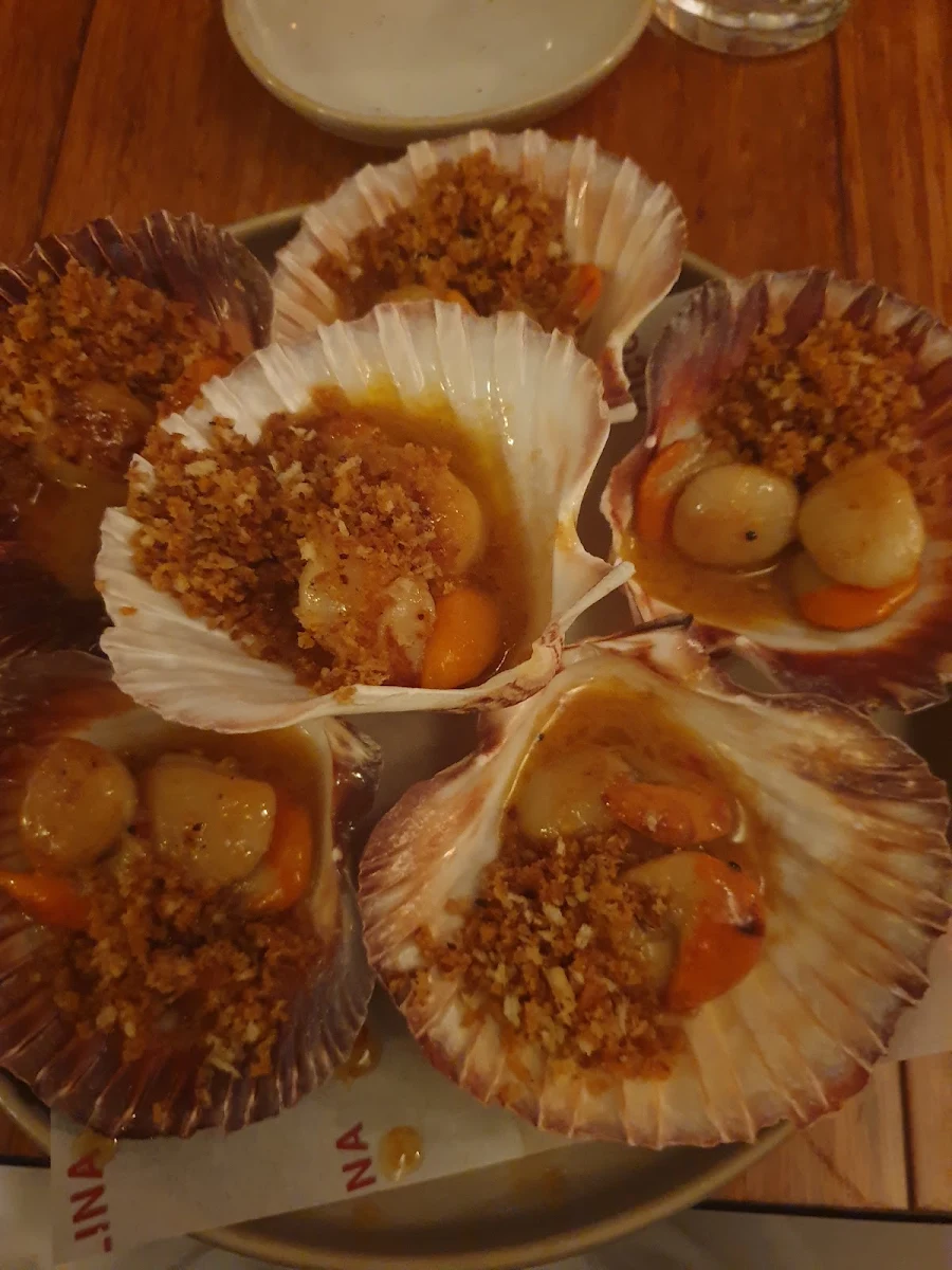 Scallops, Cicciolina