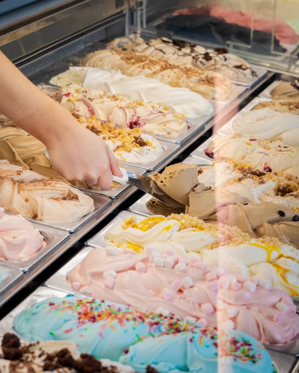 Highlights, Augustus Gelatery + Acai Berwick