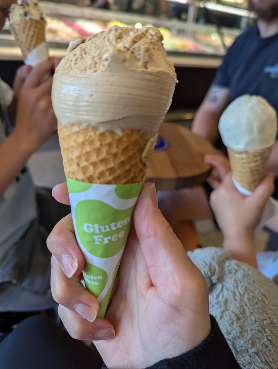 Highlights, Augustus Gelatery + Acai Berwick