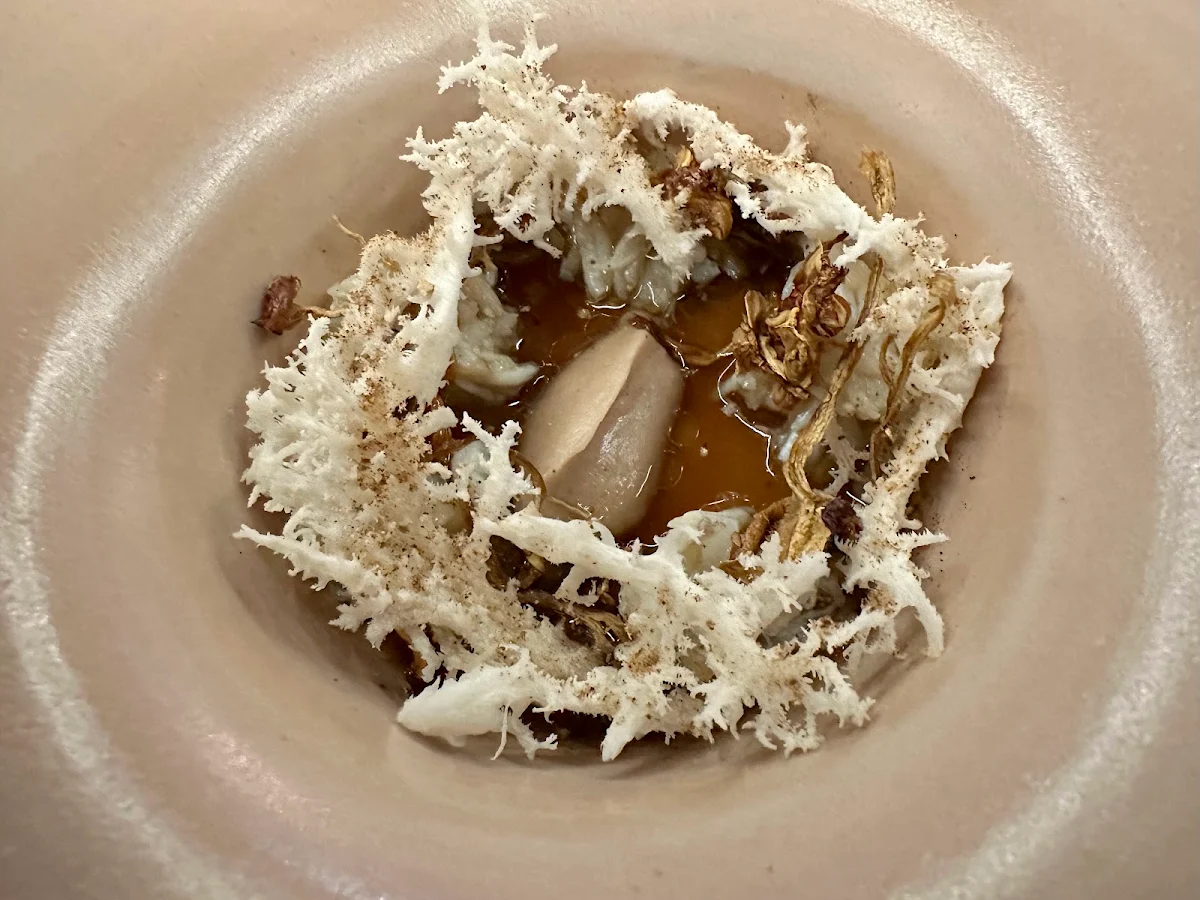 Mud Crab, Amaru