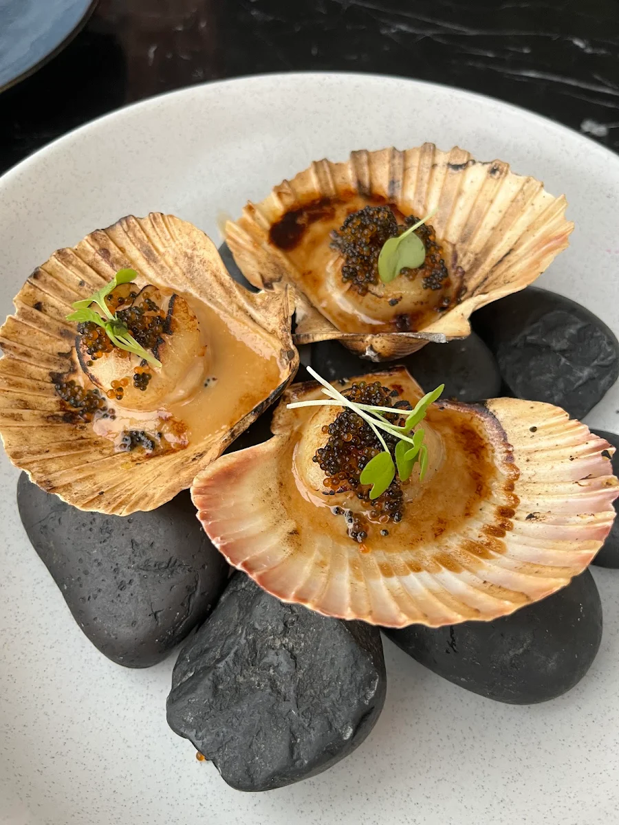 Hokkaido Scallops