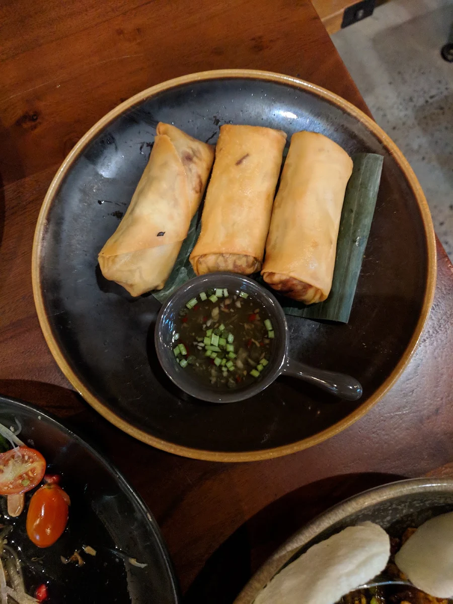 House Vego Spring Rolls