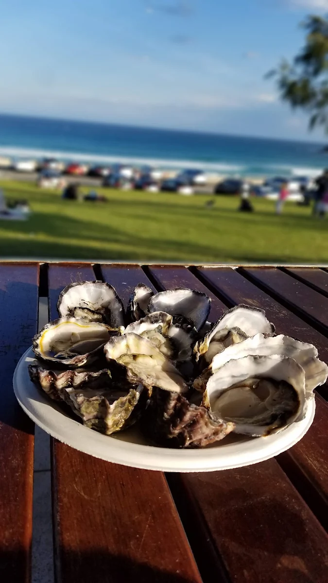 Oysters, Bondi Surf Seafoods