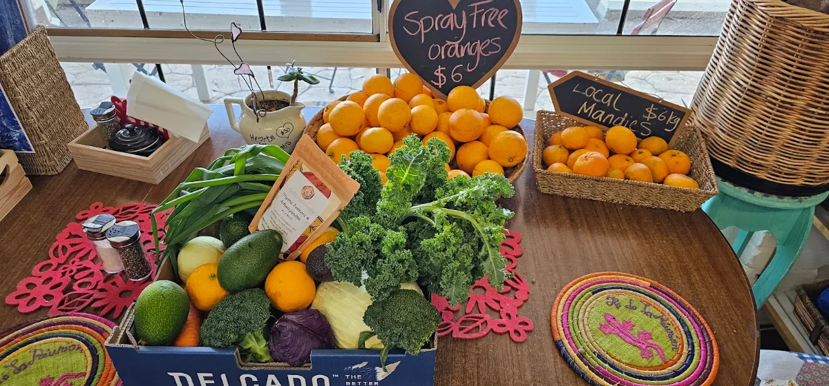 Highlights, The Sacred Earth Pantry