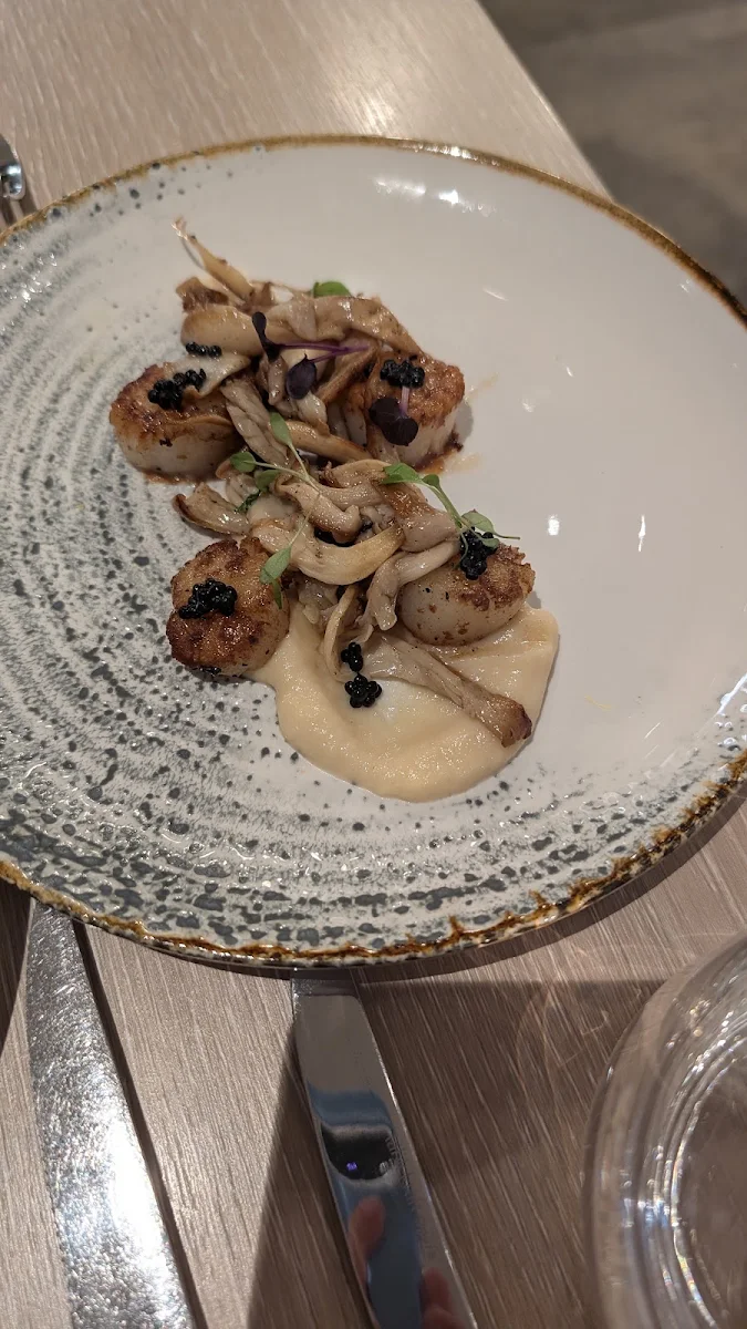 Scallops, The Marke Kitchen & Bar