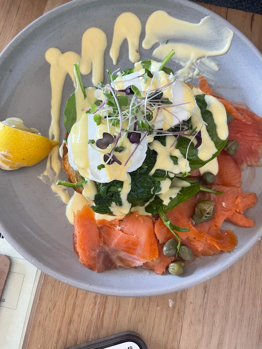 Highlights, The Gallery Cafe Blairgowrie